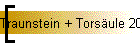 Traunstein + Torsule 2020